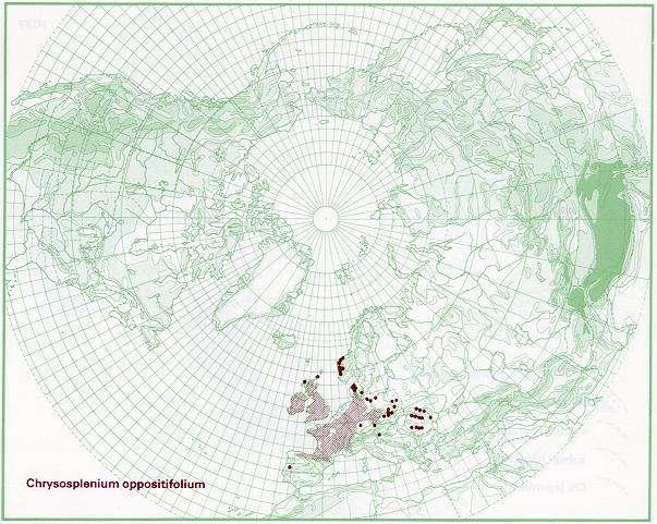 vlastním fytochorionu Žďárských vrchů dosud nezjištěn), http://linnaeus.