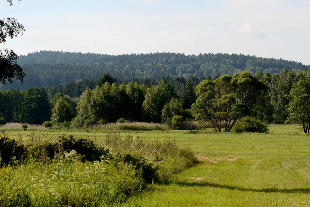 foto Vojtěch Mrlík, 27.6.