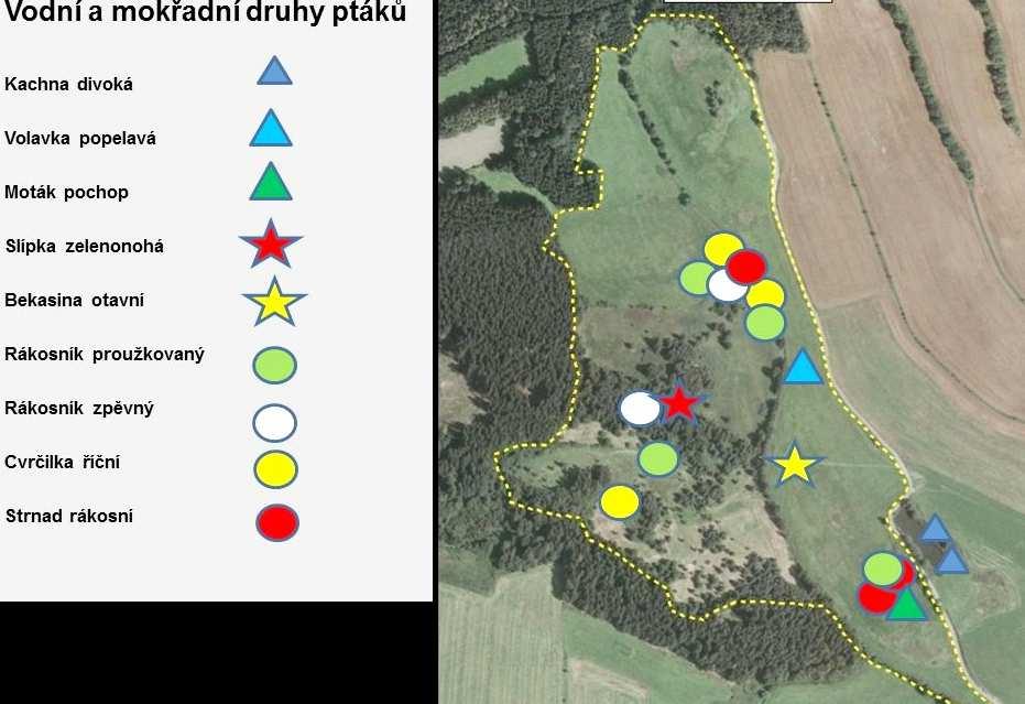 Tab. 2: Deset nejběžnějších druhů ptáků a jejich dominance. Pořadí Druh Dominance % Počet párů 1. Pěnkava obecná Dominantní druh 16,7 14-20 2. Pěnice černohlavá Dominantní druh 11,7 12-14 3.