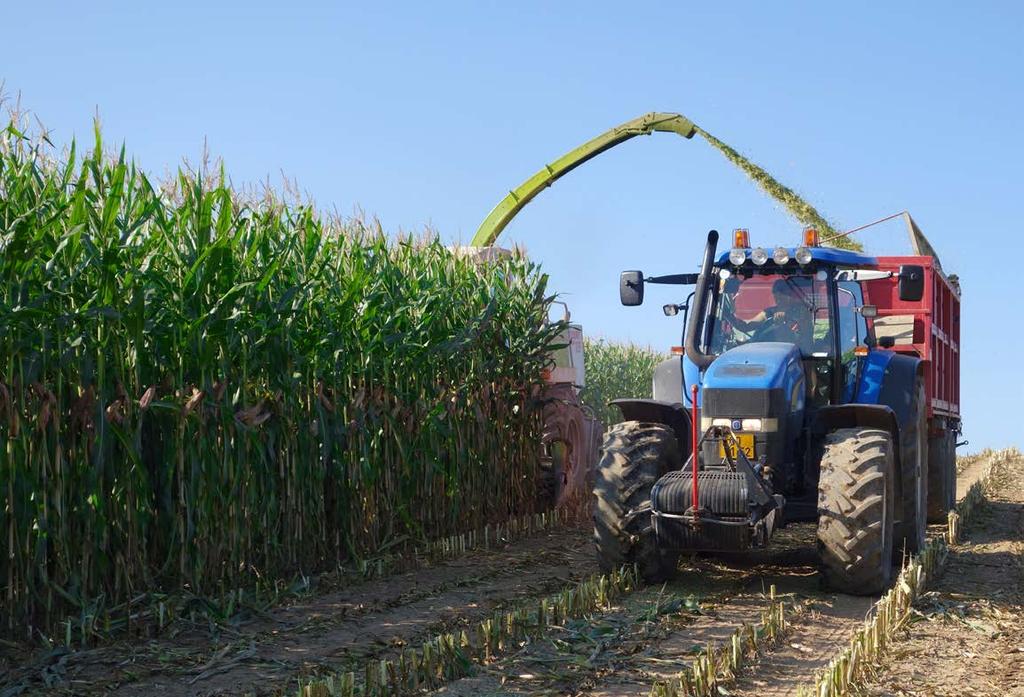 ZEA LAND 2016 Výnos hmoty nad 60 t/ha výrazně spoří plochy vhodné