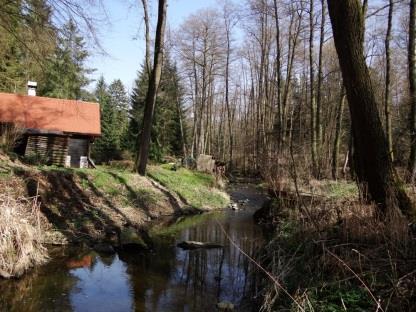 Směrem níţe aţ nad obec Kornatice protéká potok pásem lesa, ve kterém opět začíná směrová regulace