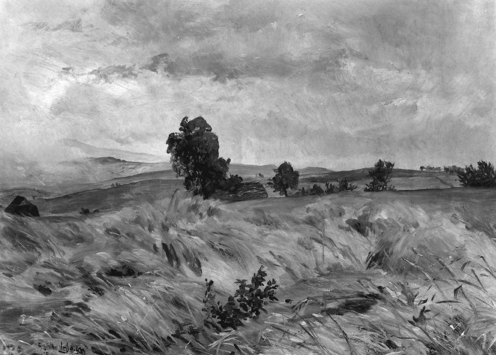 1. Otakar Lebeda: Po bouři, 1894, olej, lepenka,