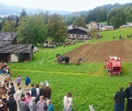 Strukturwandel bis in die Gegenwart. Das bisher frei von allen Seiten zugängliche Areal wurde zudem mit einer Einfriedung versehen.