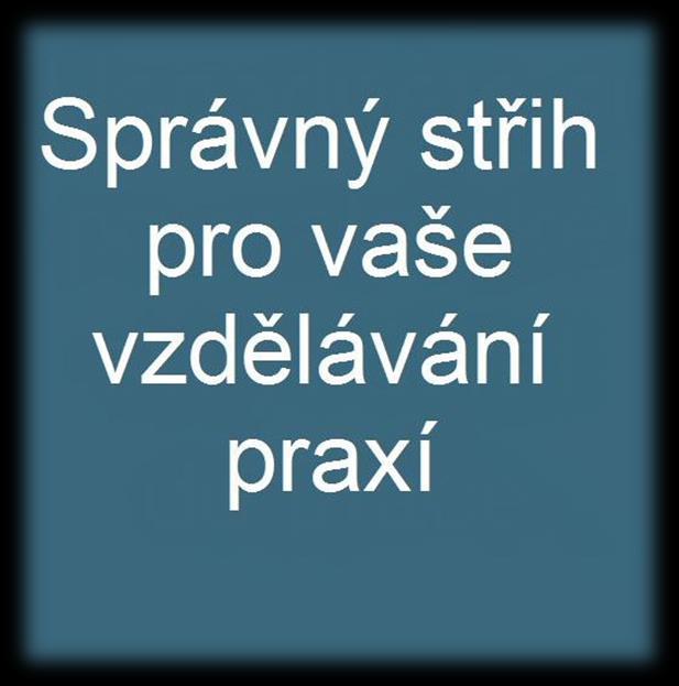 Šablony typové pozice pro vzdělávání praxí 155 šablon napříč různými obory (např.