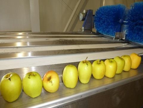 jablek v podmínkách České republiky - Hodnocení parametrů při sklizni a v průběhu