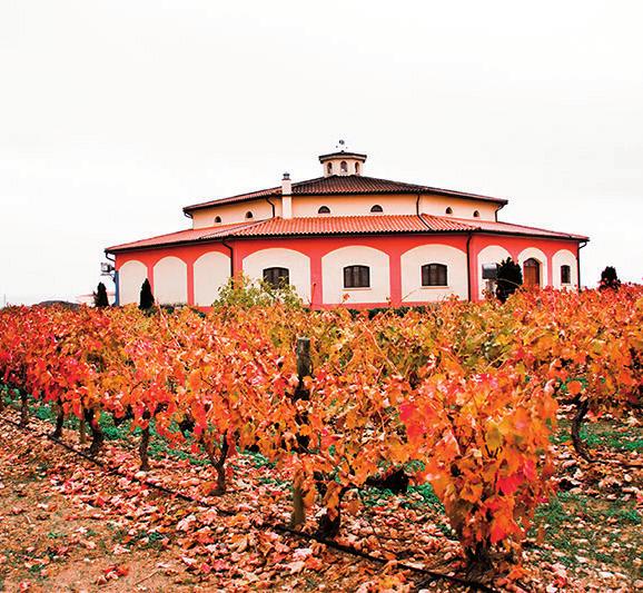 Budovu vinařství tvoří pravidelný osmihran a moderní vnitřní uspořádání. Vinice se nacházejí v nadmořské výšce 450 metrů na úpatí hory Yerga a vápencové podloží.