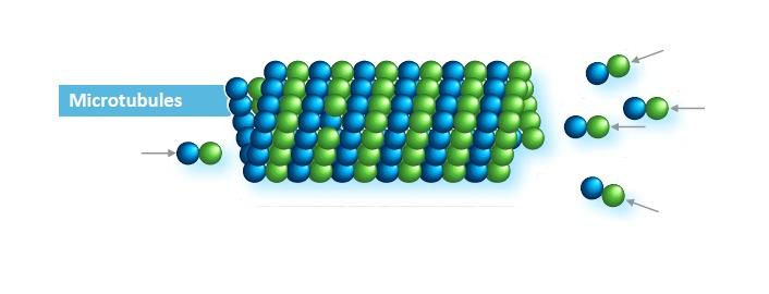 CABAZITAXEL nový inhibitor mikrotubulů Připraven semisyntevcky z prekurzorů extrahovaných z