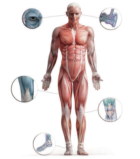 S cílem obnovovat a optimalizovat osteomuskulární funkci těla sestavili Imoove a vymysleli léčebnou metodu založenou na elisférickém pohybu.