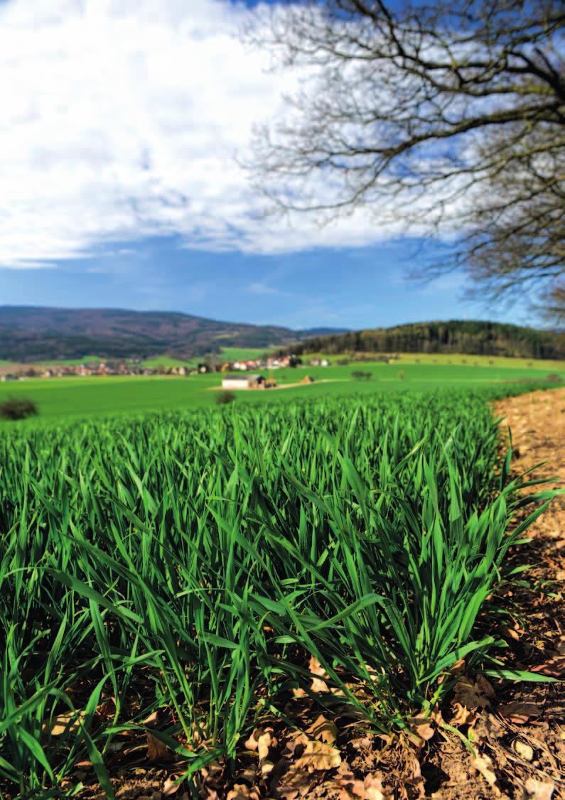 agrotip Informační měsíčník BASF pro české zemědělce Duben 2017