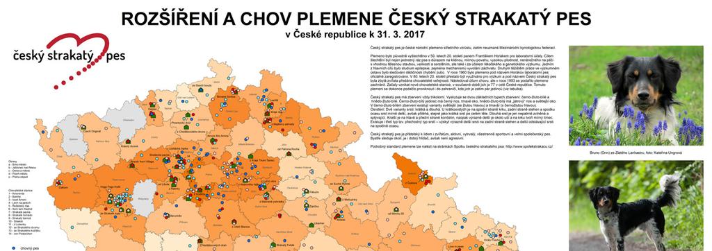 Strakatá mapa pro UK Studuji obor Geografie a kartografie na Přírodovědecké fakultě UK a již bylo předem jasné, že přijde okamžik, kdy bude potřeba vymyslet a zrealizovat svoji vlastní mapu jako