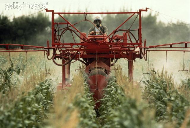 Pesticidy Zákon 326/2006 Sb. o rostlinolékařské péči ochrana před chorobami a škůdci Vyhláška 329/2004 Sb. O přípravcích a dalších prostředcích na ochranu rostlin (úprava a aktualizace 371/2006 Sb.