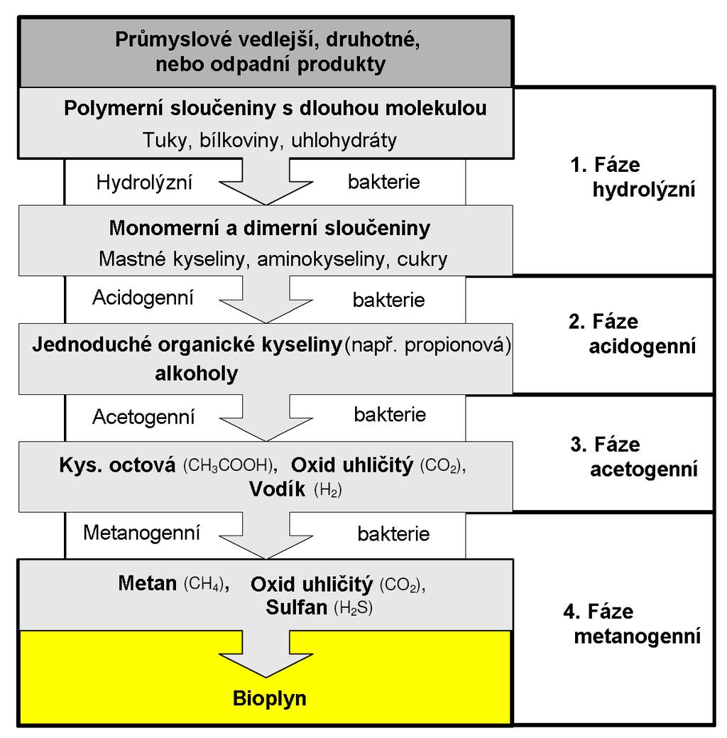 Obr. 4 Zjednodušený popis biochemických reakcí při anaerobní digesci [18] Důležitým parametrem, který ovlivňuje volbu technologie zpracování biomasy, je obsah sušiny v substrátu.