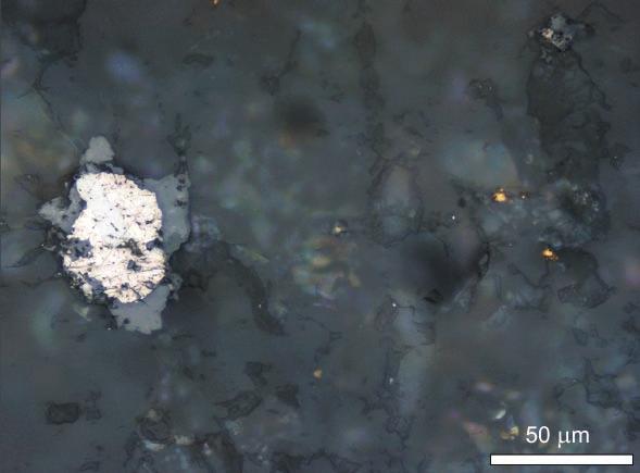 Bismutin patří k nejhojnějším doprovodným minerálům, srůstajícím se zlatem. Zrna šedé barvy s výraznou anizotropií intenzivně zatlačují původní okrouhlé agregáty ryzího bismutu.