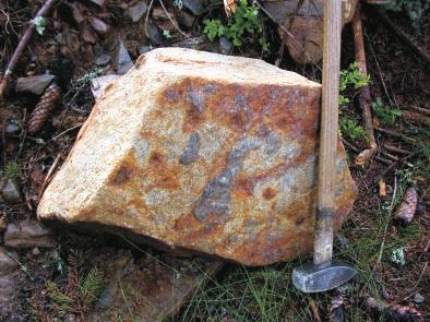 V tomto případě se v hornině začíná hojněji objevovat turmalín, chloritizovaný biotit a limonitizovaný pyrit. Magnetická susceptibilita kolísá od 0.01 do 0.07 (10-3 SI).