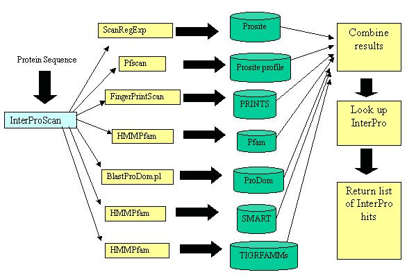 databáze (InterPro vzniká spojením dílčích anotací všech členských databázi pro konkrétní protein, členy toho konsorcia jsou databáze Pfam, ProDom, Prosite, PRINTS, SMART a TIGRFAMMs).