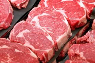 Bílkoviny Výživová hodnota jednotlivých bílkovin Maso vs. strojně oddělené (separát) Zmrazené maso vs.