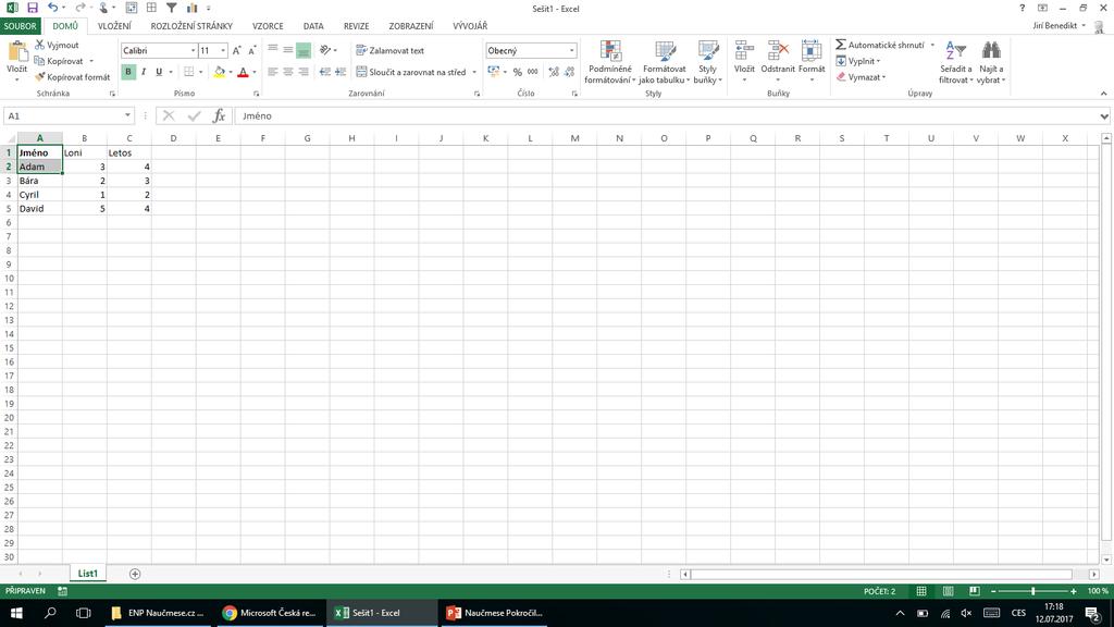 Rychlá práce v MS Excel ve Windows 1 Základní práce s klávesnicí Použití klávesových zkratek vám ušetří klidně hodinu denně. nemusíte jich umět moc, stačí jich zvládat několik: 1.
