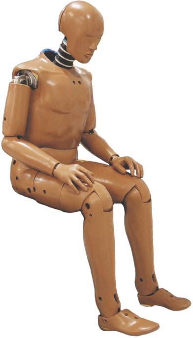 Figuríny crash test dummy Hybrid III čelní náraz EuroSID boční náraz BioRID náraz