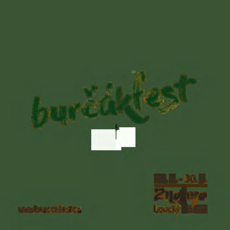 burcakfest.