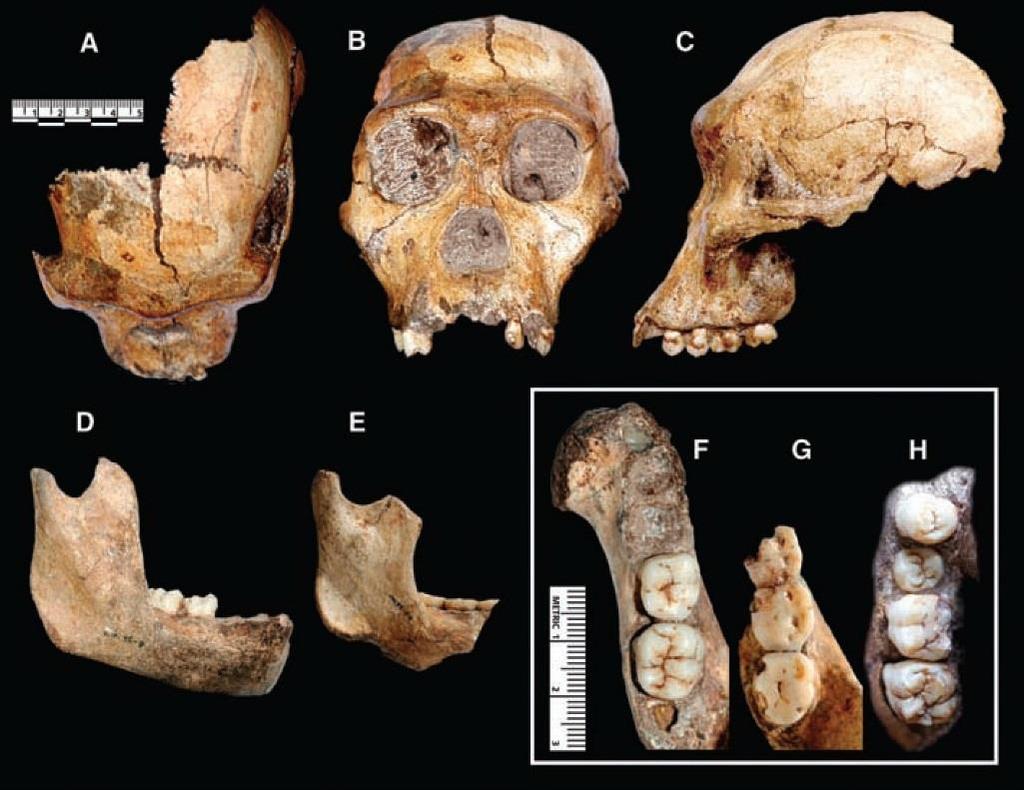 2010 v Science - oproti svému předchůdci (Au.