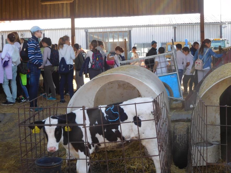 Číšníci pak obsluhovali své spolužáky. Děti s nadšením vše ochutnávaly a mléčné dobroty si velmi pochvalovaly.