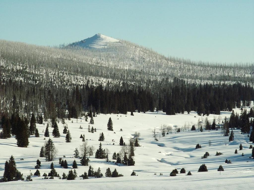 Šumava