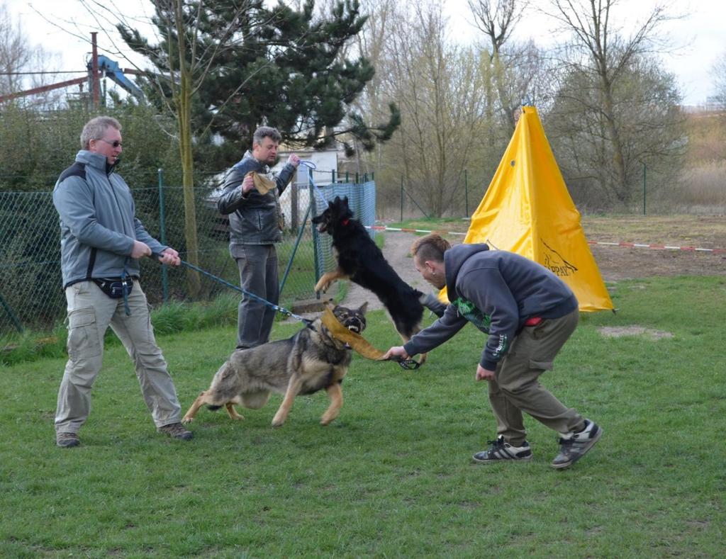 překážky. Podle stáří a výkonnosti psa je koncipována parkurová dráha. Agility by mělo jak pejskovi tak psovodovi přinášet radost z pohybu a ze hry a prohlubovat jejich vzájemný přátelský vztah.