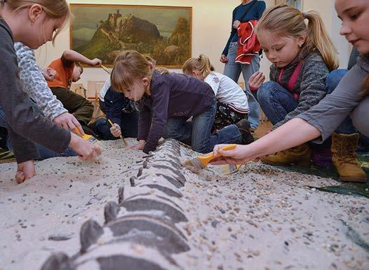 nejstarší dravec žijící ve sladkých či poloslaných vodách. Vystaveny jsou zde také modely trilobitů nebo lebka obří ryby rodu Dunkleosteus.
