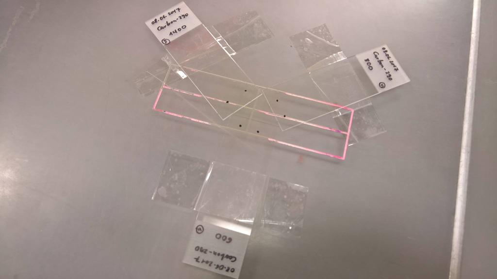 Na obrázku 3 je vyobrazený příklad separace různých konformací plasmidové DNA.