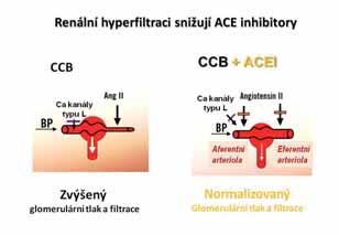 věnované vysokému arteriálnímu a žilnímu tlaku. Oba tyto stavy patří mezi nejčastější chronická onemocnění, se kterými se praktičtí lékaři setkávají v každodenní praxi, a oba postihují mikrocirkulaci.