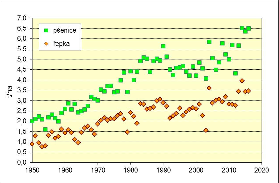 Vývoj výnosů pšenice a