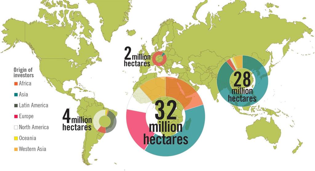 Fenomén land grabbingu Vizualizace geografie investic dle původu investorů Převážná část