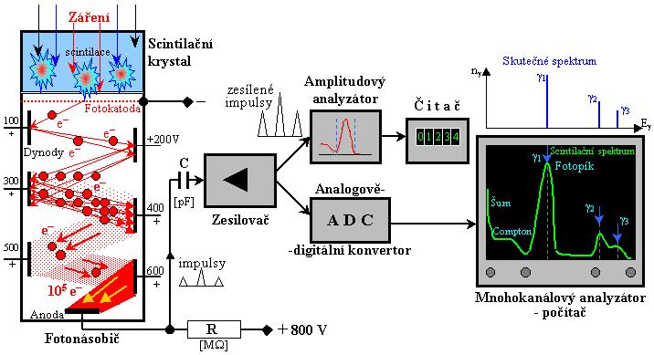 Scintilační detektor ionizující záření projde scintilačním krystalem (NaJ s Tl) e - uvolněné při procesu fotoelektrický jev, Comptonově rozptylu excitují atomy krystalu luminiscenční záření v podobě