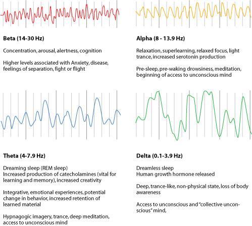 ELEKTRICKÁ AKTIVITA MOZKU MĚŘITELNÁ NA EEG Beta vlny (14-30 Hz) bdělý stav, koncentrace, logické myšlení, vyšší úrovně beta vedou ke stresu, úzkosti Alfa vlny (8-13,9 Hz) uvolněný stav mysli, svalová