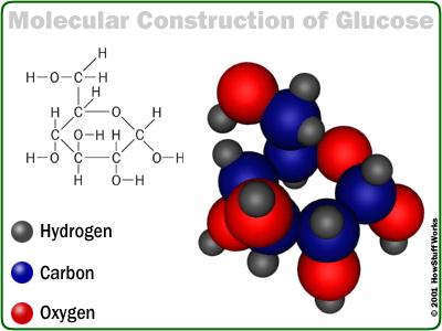 D - GLUKOSA