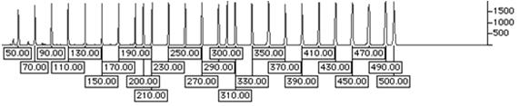 Allele Internal size standard DNA fragmenty vrcholy elektroferogramu Data Point X 1 X