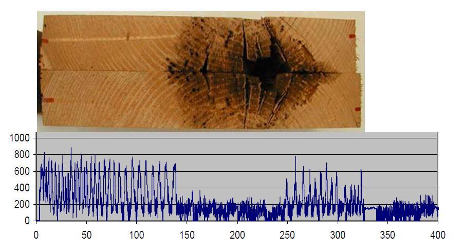 (Kloiber 2007). Každé poškození dřeva (abiotické či biotické) má svůj typický průběh (Rinn 1994). Obr. 20 Průběh měření při napadení dřeva hnilobou (Kloiber 2007) 3.