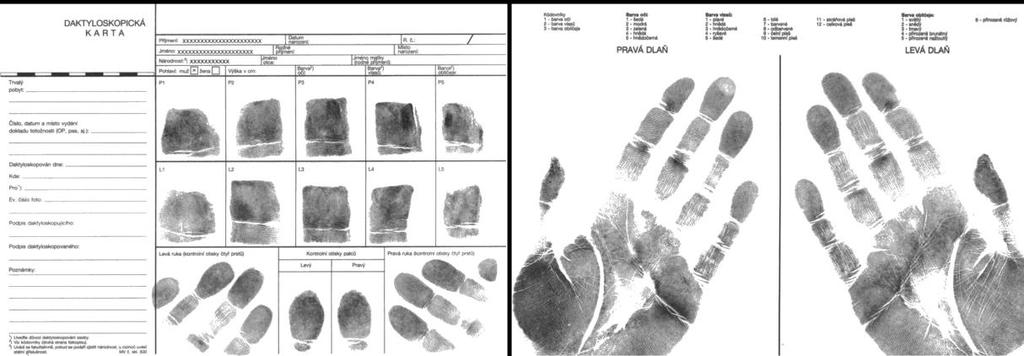 2.6.2 Podoba systému AFIS Jednou částí databáze jsou tzv. daktyloskopické karty.