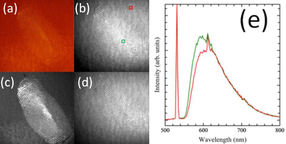 Obrázek 21: Separace různě starých otisků pomocí HSI [6] (Intensity intenzita; wavelength vlnová délka) V části (a) je vzorek zachycen digitálním fotoaparátem.