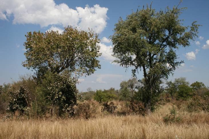 ekosystémovou, funkční, krajinnou biodiverzitu Funkční