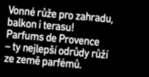 Kvete nepřetržitě po celé léto. ƒ, œ červen listopad, µ ca. 80 cm,.