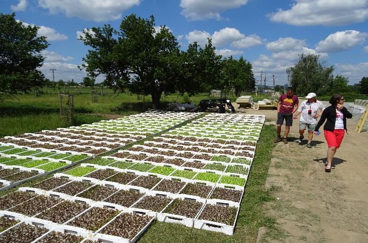 Farma je malým rodinným podnikem a produkuje zejména brambory, cibuli, česnek, zelí a obilí.