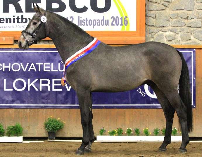 : Zemský hřebčinec Písek s.p.o.,u Hřebčince 479 vl.:(s:st**) STANICE (okres Tachov) Dcery: HPK:1; PK:1 Rédl J.ml.