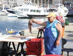 Celodenní pobyt v Monackém knížectví, pěší prohlídka míst, kde se jezdí jeden z nejatraktivnějších zá- Marseille Calanques chráněné vápencové útesy Marseille 7.