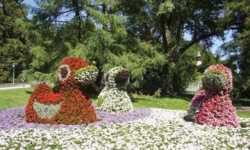 Mainau květinový ostrov Mainau květinový ostrov Bregenz kulturní aréna Mainau zámek 3.