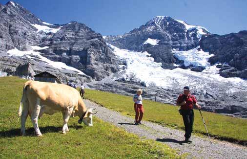 na ledovce, příkré stěny a nejvyšší vrcholky Bernských, Freiburských a Francouzských Alp od Mont Blancu přes Matterhorn po Jungfrau.