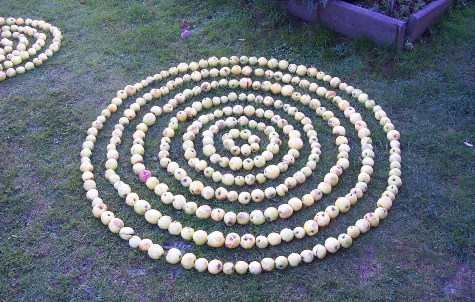 Land art: kruhy z jablek  říjen,