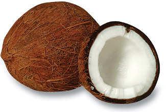 kokosový ořech