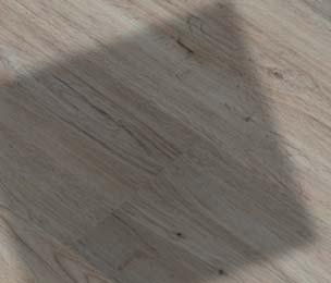 The grey-black structure of the wood is lightened by fleeting white lines.