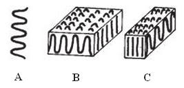 [2,12]. Obr. 2.5 Struktura amorfních polymerů [2]. A - globula, B způsob uspořádání globul, C svazek globul. Krystalická struktura Je to struktura s určitou mírou uspořádání (obr. 2.6), u které jsou fibrily a lamely základními morfologickými útvary.